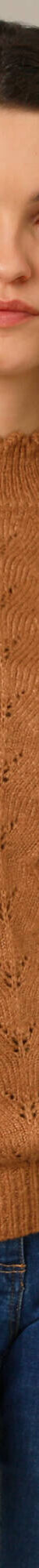 Pull col montant, maille anglaise toucher doux (noisette) Pull col montant, maille anglaise toucher doux (noisette)